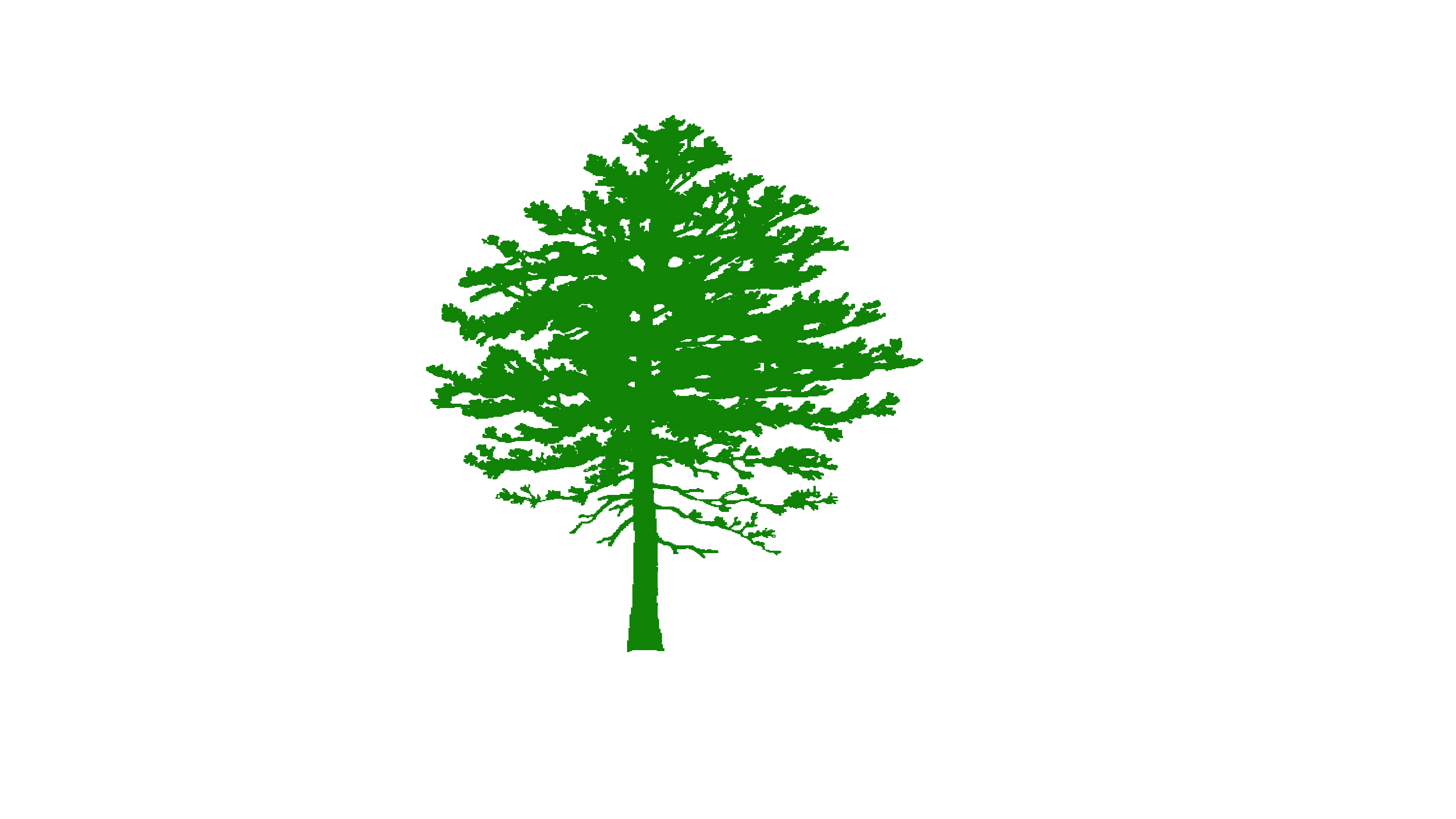 Cascadia Landscaping